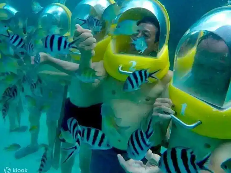 Underwater sea walking and helmet diving activity with colorful tropical fish at Danglai Resort, Semporna